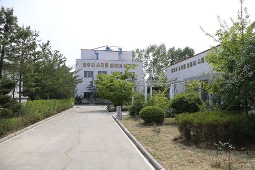 朝鲜版“小黑瓶”与消费文化之思